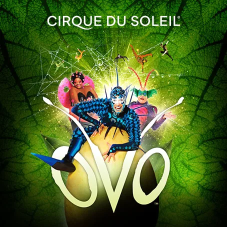 Preview: Cirque Du Soleil Brings OVO Show to Austin