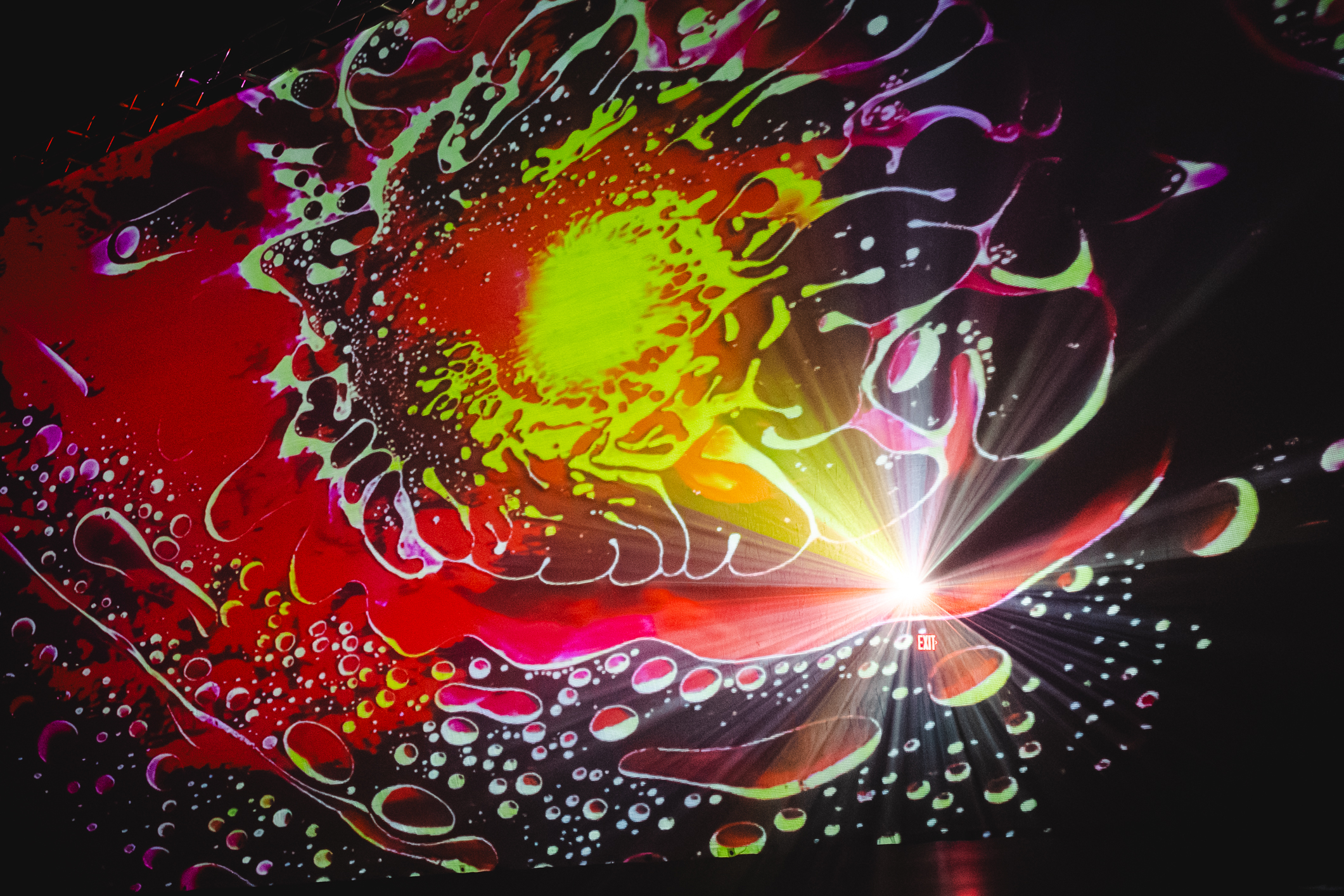 Levitation 2025 Psychedelic Photos Round 2